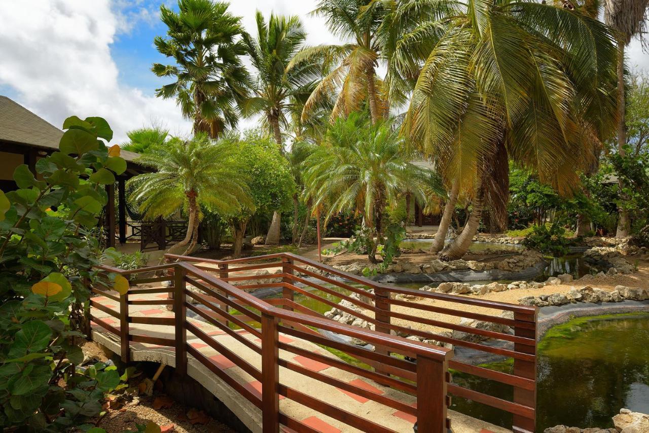 Captain Don'S Habitat Playa Dış mekan fotoğraf