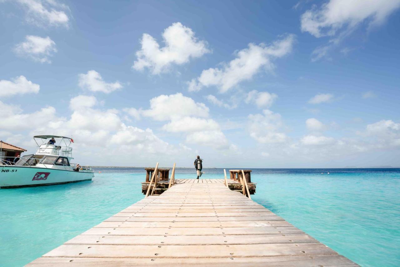 Captain Don'S Habitat Playa Dış mekan fotoğraf